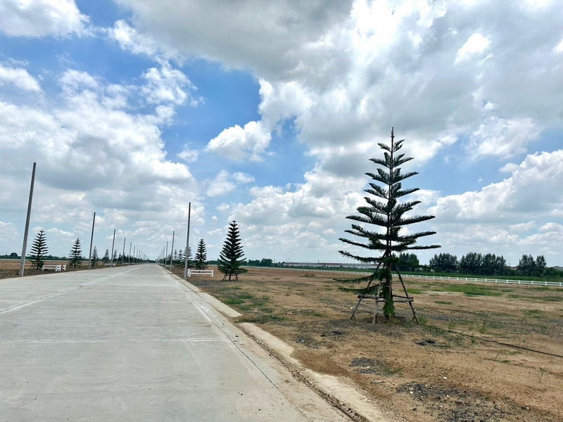 For Sale Pathum Thani Land Lam Luk Ka BRE20106